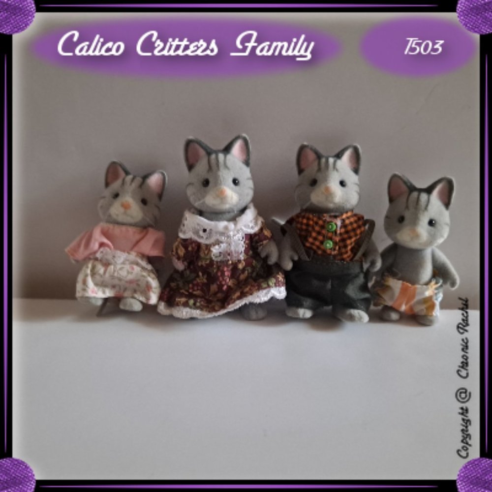 Fisher Cat Family